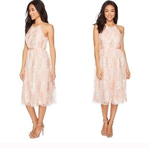 Mangu London pink dress size 6